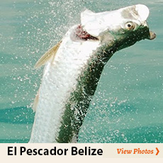Photos from El Pescador Lodge in Belize