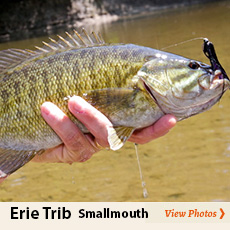 fly fishing lake erie smallmouth
