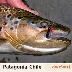 photos of fly fishing patagonia chile