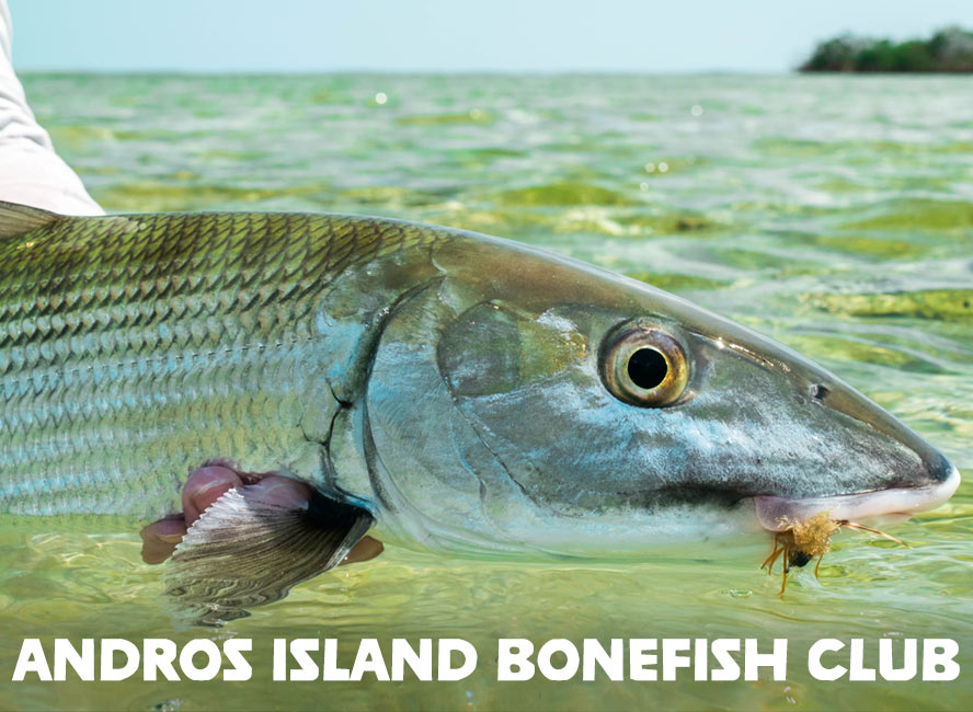 Andros Island Bonefish Club The Bahamas Mad River Outfitters - 
