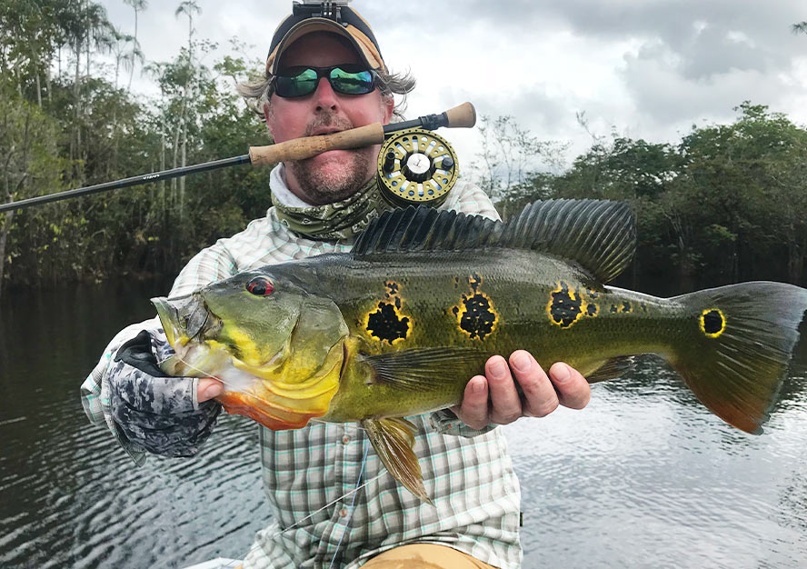 Peacock Bass, Fly Fishing Travel