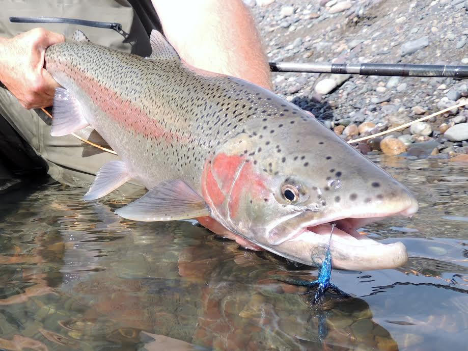 jerry darkes fly tying class