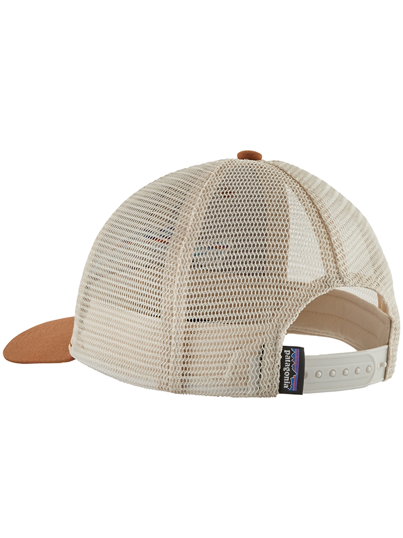patagonia lopro trucker hat fitz roy