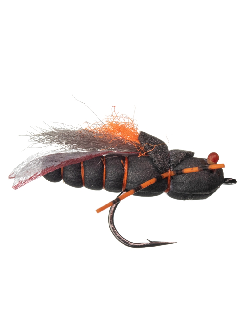 Project Cicada Fly  Mad River Outfitters