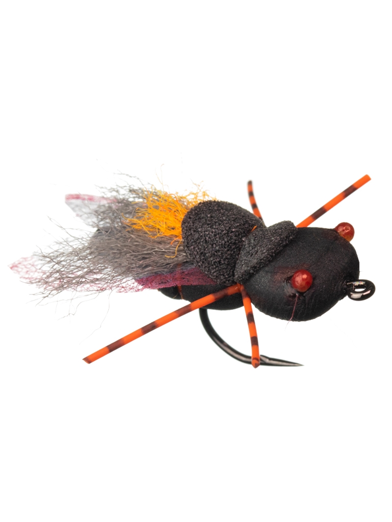Project Cicada Fly  Mad River Outfitters
