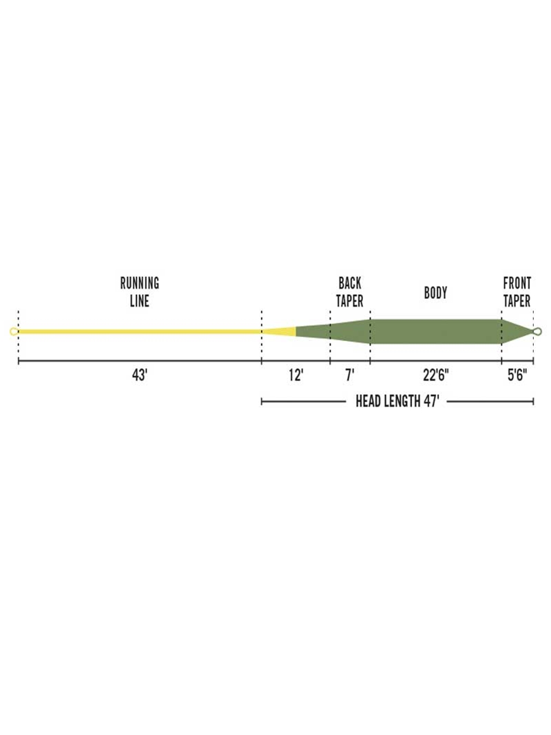 Rio Gold Fly Line - Moss/Gold (Legacy) - The Fly Shack Fly Fishing