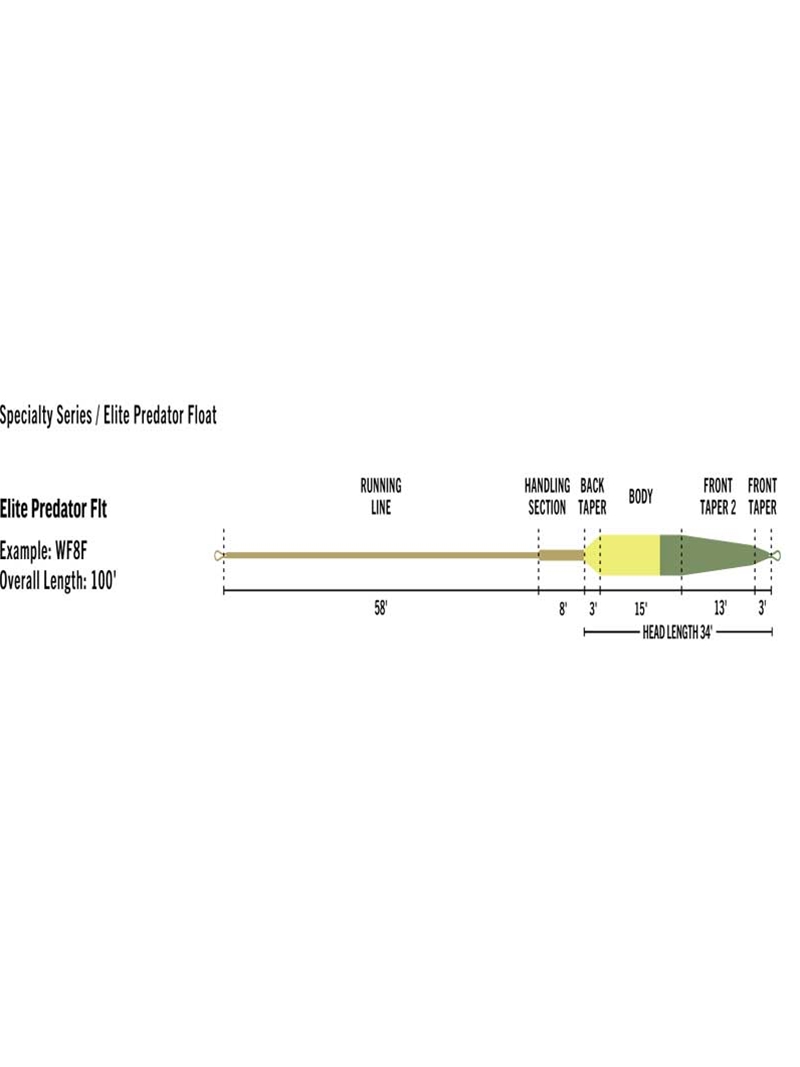 Rio Elite Predator Weight Forward Floating Fly Line
