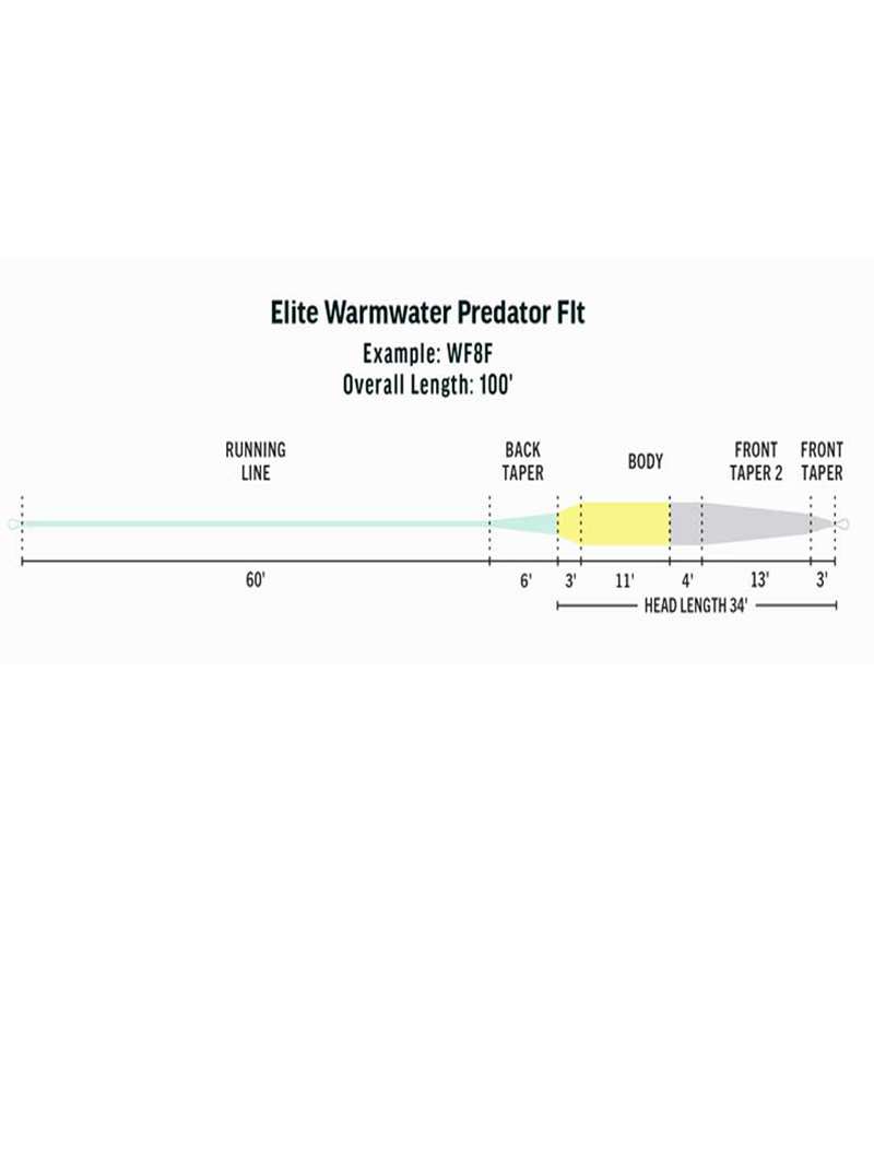 Rio Elite Predator Warmwater Fly Line, WF8F