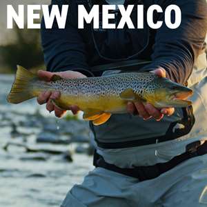 San Juan River Fly Fishing Travel with Mad River Outfitters!