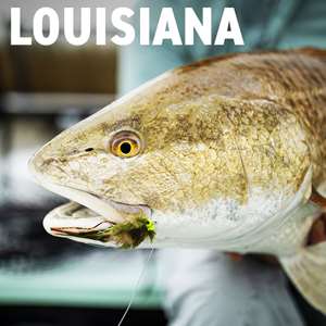 Woodland Plantation Louisiana Redfish Fly Fishing Trips with Mad River Outfitters