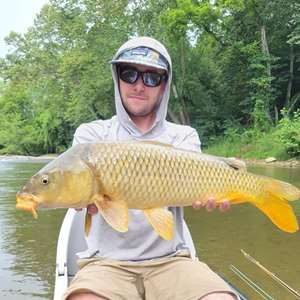 Ohio Carp on the Fly