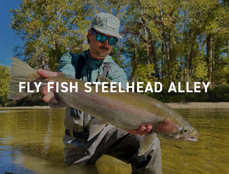 Book a guided Steelhead Fly Fishing Trip with Mad River Outfitters!