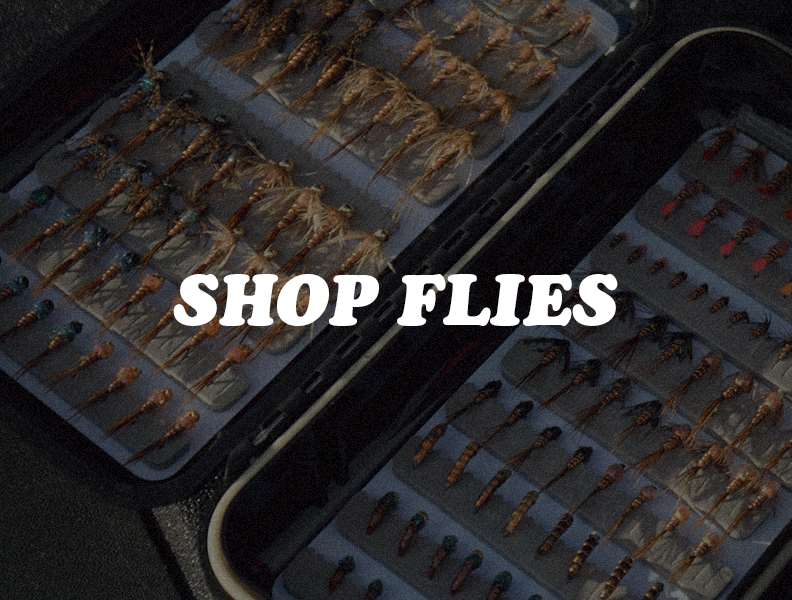 Shop Fly Fishing Flies at Mad River Outfitters during the 2025 Holiday Season!
