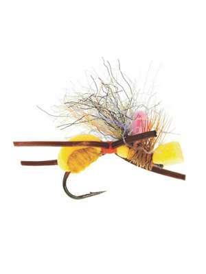 Fat Angie Terrestrials - Ants