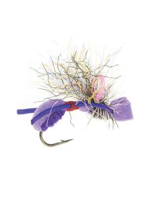 Fat Angie Terrestrials - Ants