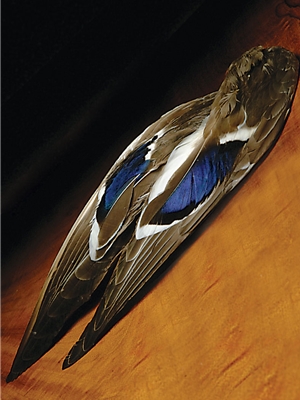 mallard wings Feathers and Marabou