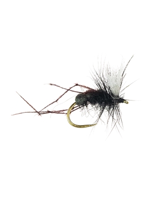 Aero Redlegs fly New Flies at Mad River Outfitters
