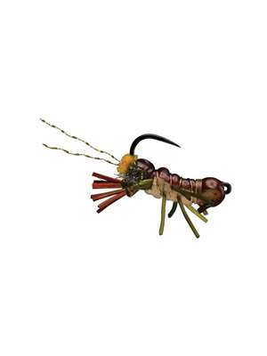 Baby Daddy crayfish crawfish flies
