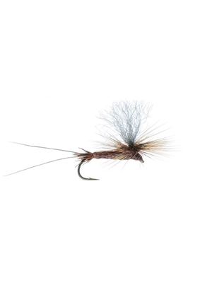 bear's hi-vis brown drake dun midseason hatch matching flies