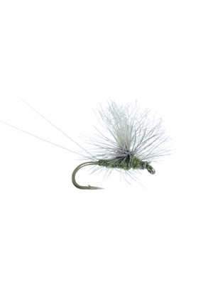 bear's hi-vis parachute olive Flies