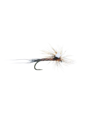 bear's parachute isonychia Standard Dry Flies - Attractors and Spinners