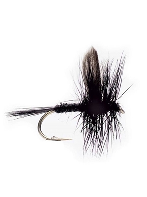 black gnat dry fly Flies