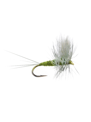 Blue Winged Olive Thorax Dry Fly Hatches 1 - Early Season - Hennys, Sulphurs, BWO