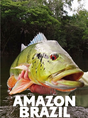 Peacock Bass - Brazil Fly Fishing Trips