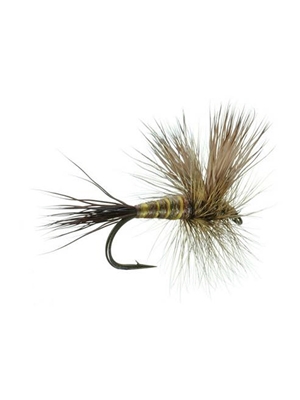 Hatch Matching Fly Patterns for Sale | Mad River Outfitters