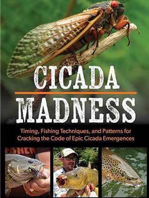 Project Cicada Fly  Mad River Outfitters