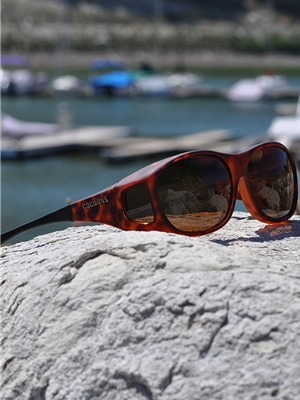 Cocoons Medium with Tortoise Frames and Amber Lens at Mad River Outfitters Cocoons Eyewear