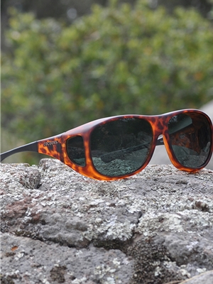 Cocoons Large with Tortoise Frames and Gray Lens at Mad River Outfitters Cocoons Eyewear