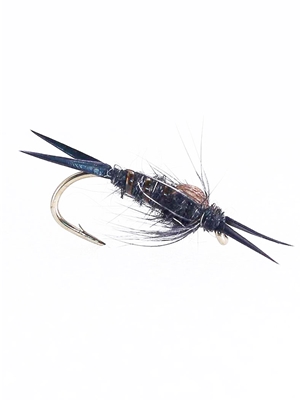 Steelhead Stone Nymphs  and  Bead Heads