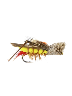 dave's hopper Terrestrials - General