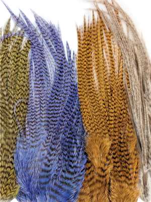 Ewing Wooly Bugger Pack at Mad River Outfitters! Ewing Hackle