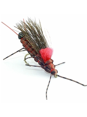Fluttering Stone salmon fly Stonefiles- Dries and Nymphs