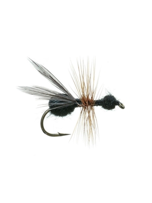 flying ant dry fly Flies