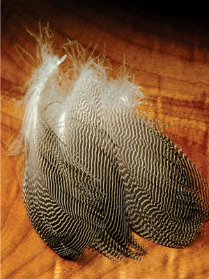 Gadwall Feathers for fly tying Hareline Dubbin