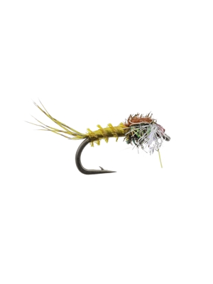 kelly galloup's bwo nymph Hatches 1 - Early Season - Hennys, Sulphurs, BWO