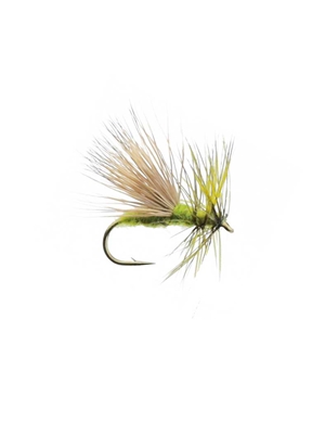 kelly galloup goober caddis olive caddisflies fly fishing