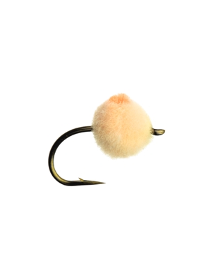 glo bug egg fly oregon cheese Flies