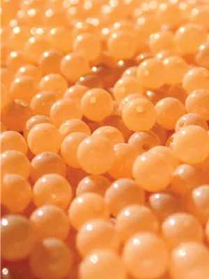 Great Lakes Steelhead Co. Scrambled Super UV Marvelous Mandarin at Mad River Outfitters