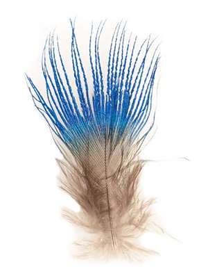 Hareline Blue Peacock Feather Feathers and Marabou