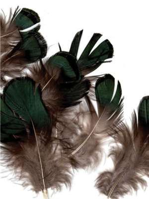 Green Iridescent Lady Amherst Plumage Feathers and Marabou
