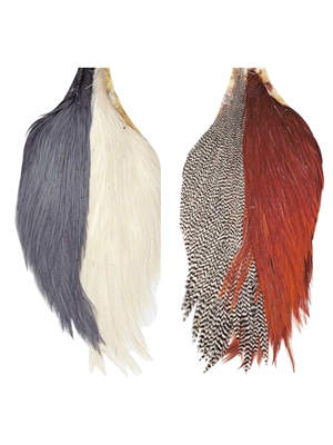 Hareline Tyers 4 Color Starter Cape Set Feathers and Marabou