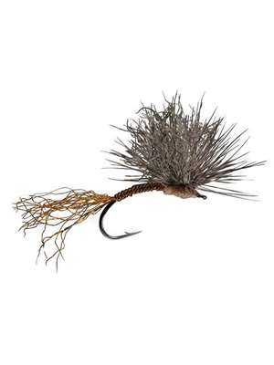 Beck's Hendrickson Emerger Hatches 1 - Early Season - Hennys, Sulphurs, BWO