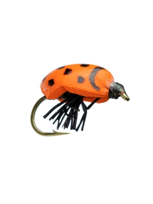 kr lady bug fly Terrestrials - General