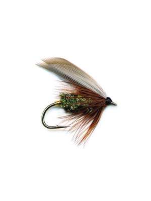 Leadwing Coachman Wet New Flies at Mad River Outfitters
