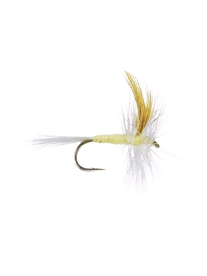 light cahill dry fly midseason hatch matching flies