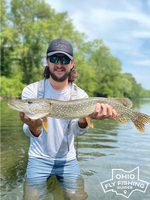 Mad River Outfitters is proud to offer excellent guided Northern Pike Trips all throughout Ohio!